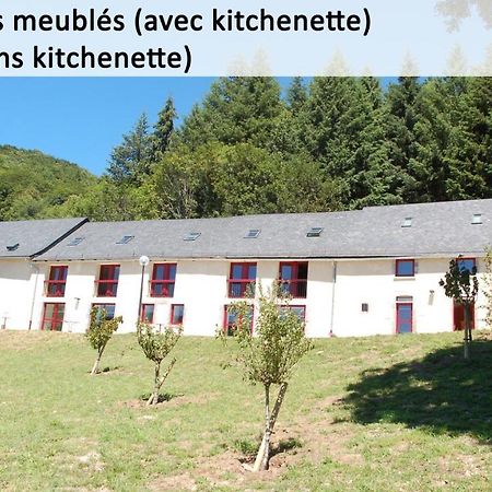 Gite Du Haut Cantal - Appartements Meubles Avec Kitchenette Et Chambres Sans Kitchenette Condat  Exterior foto