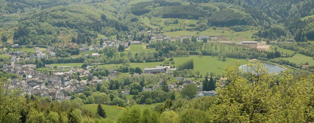 Gite Du Haut Cantal - Appartements Meubles Avec Kitchenette Et Chambres Sans Kitchenette Condat  Exterior foto